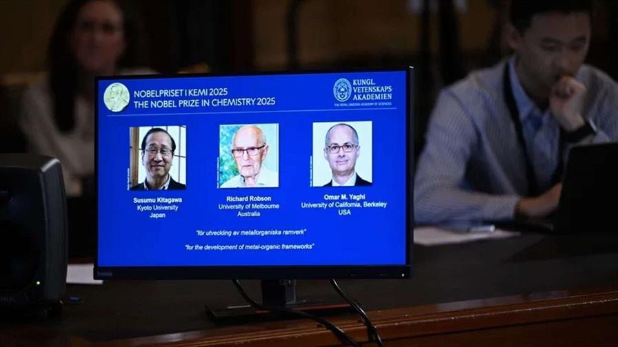 ¿Por qué son tan importantes las estructuras metaorgánicas?