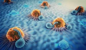 Descubren un mecanismo bacteriano que podría destruir células tumorales