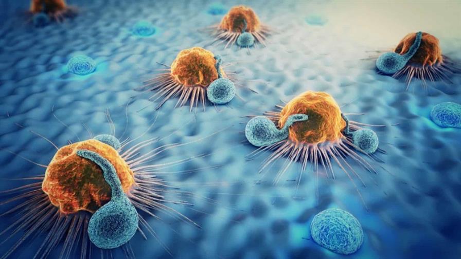 Descubren un mecanismo bacteriano que podría destruir células tumorales Descubren un mecanismo bacteriano que podría destruir células tumorales