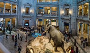 Los museos de Washington cerrarán a partir del domingo por la clausura del Gobierno