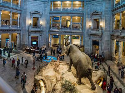 Museos de Washington cerrarán a partir del domingo