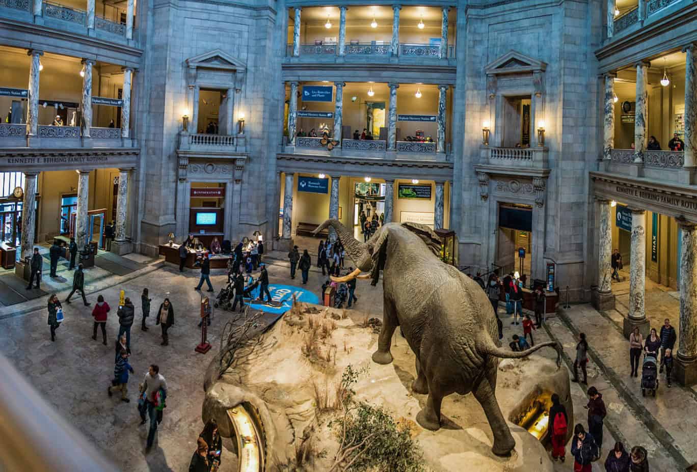 Los museos de Washington cerrar&aacute;n a partir del domingo por la clausura del Gobierno