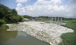 Alarmante acumulación de desechos plásticos en el río Yaque del Norte