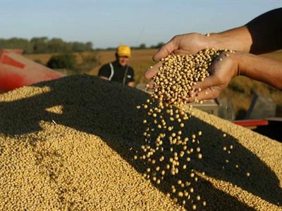 Productores de soja de EE. UU. en primera línea de guerra con China