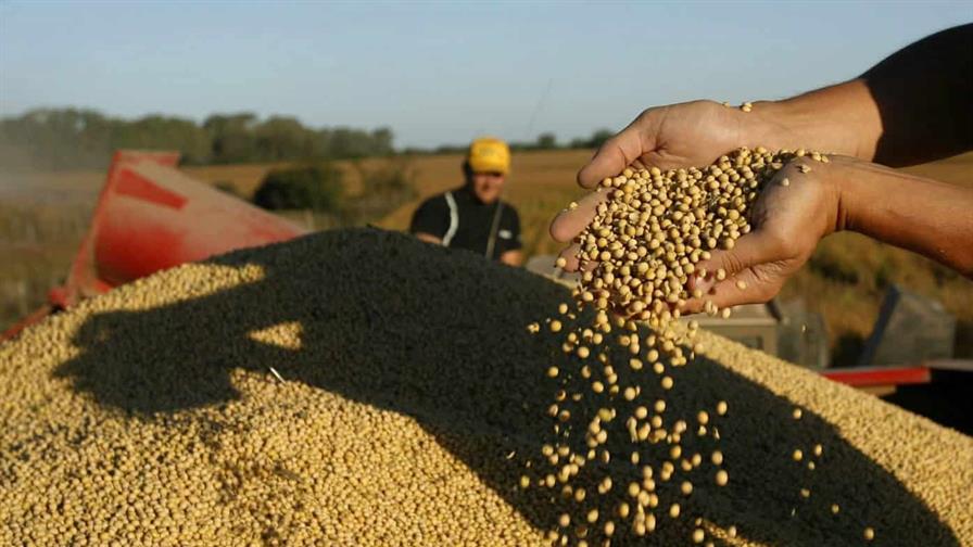 Productores de soja de EE. UU. en primera línea de la guerra comercial con China Productores de soja de EE. UU. en primera línea de la guerra comercial con China