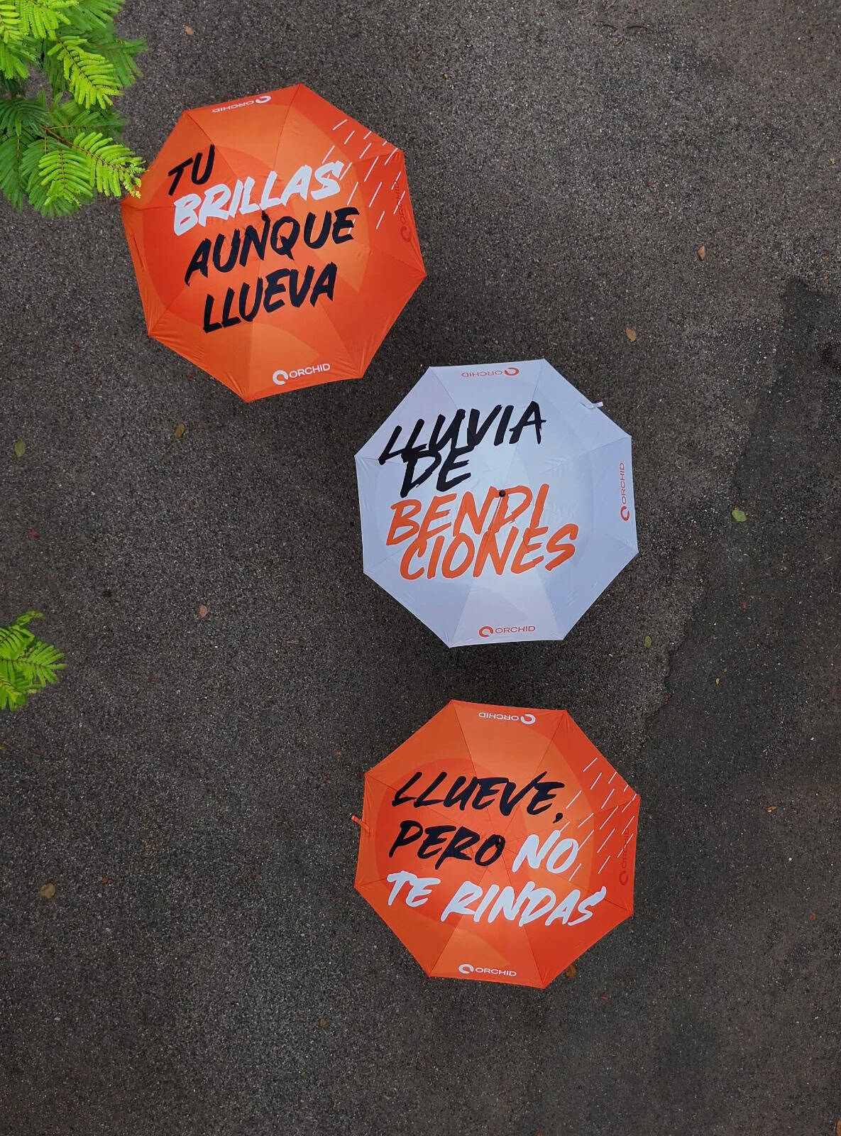 [object HTMLTextAreaElement]