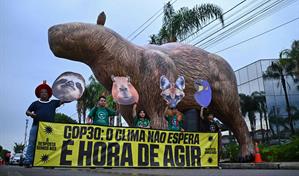 La COP30 podría proponer cuadruplicar la producción global de combustibles sustentables