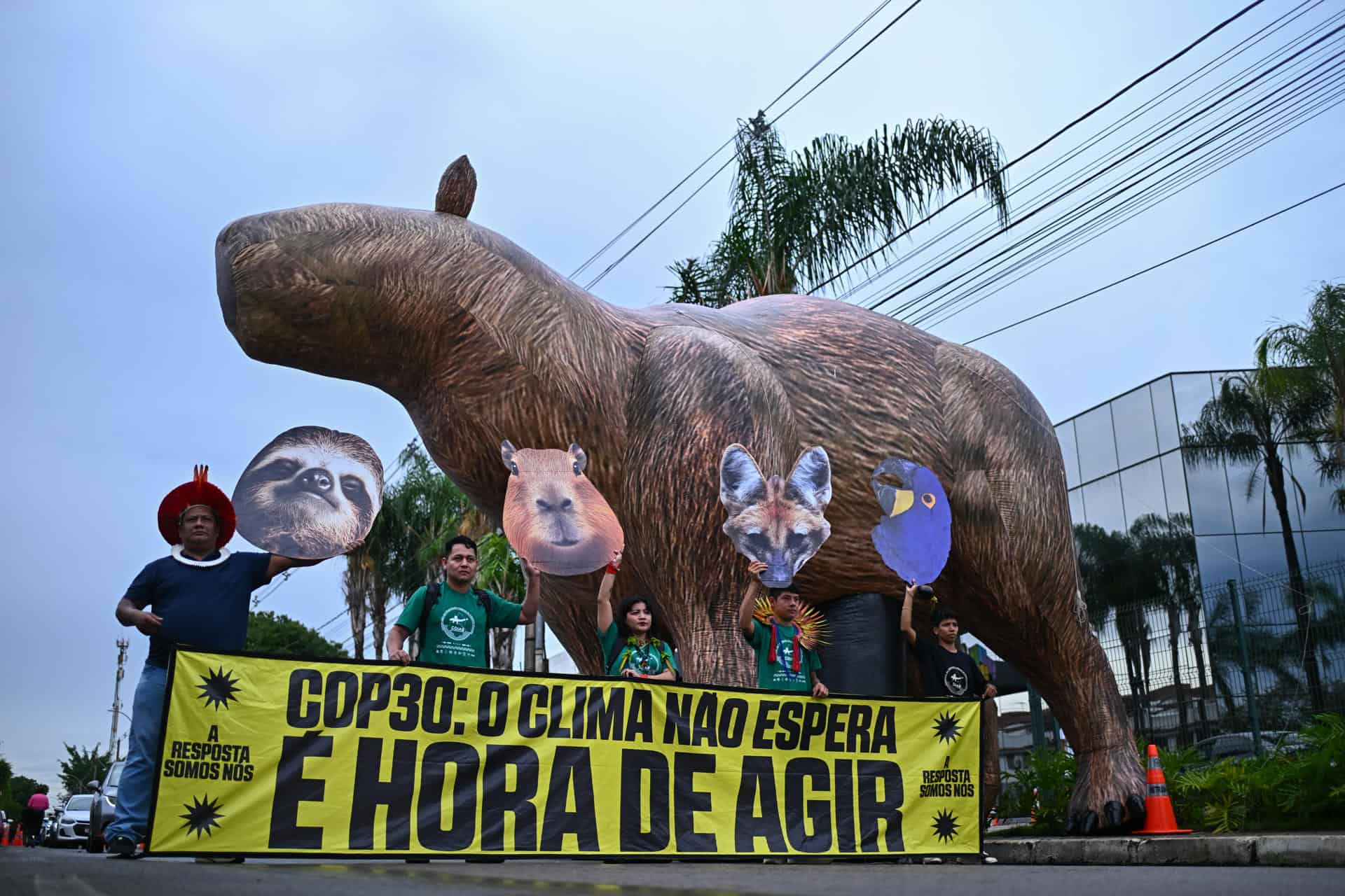 La COP30 podría proponer cuadruplicar la producción global de combustibles sustentables La COP30 podría proponer cuadruplicar la producción global de combustibles sustentables
