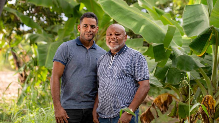 Una alianza que da frutos: 200,000 plátanos semanales Una alianza que da frutos: 200,000 plátanos semanales