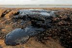 Oro negro, promesas verdes: la paradoja climática de Brasil