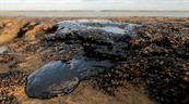 Oro negro, promesas verdes: la paradoja climática de Brasil
