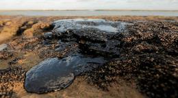 Oro negro, promesas verdes: la paradoja climática de Brasil