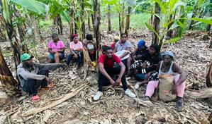 Arrestan a 11 haitianos indocumentados en una finca en Valverde