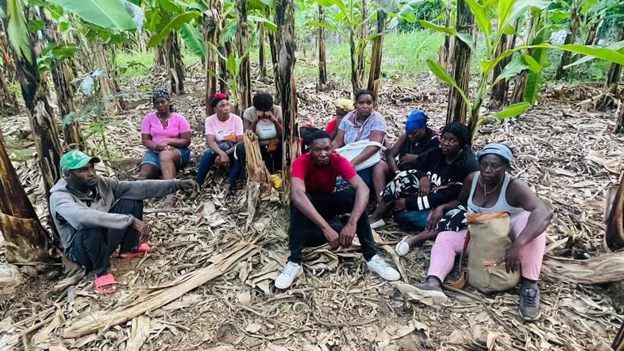 Arrestan a 11 haitianos indocumentados en una finca en Valverde Arrestan a 11 haitianos indocumentados en una finca en Valverde