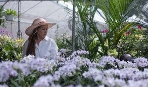 Amantes de las plantas se congregan en el Jard&iacute;n Bot&aacute;nico Nacional para el Festival 2025