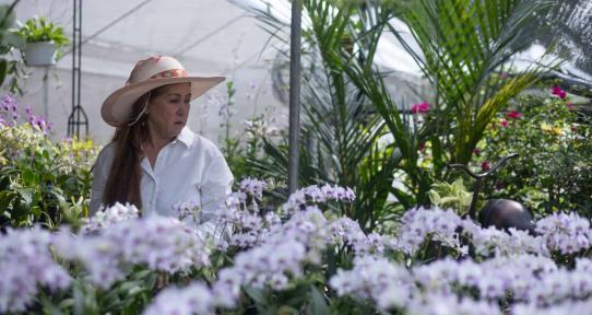 Amantes de las plantas se congregan en el Jardín Botánico Nacional para el Festival 2025