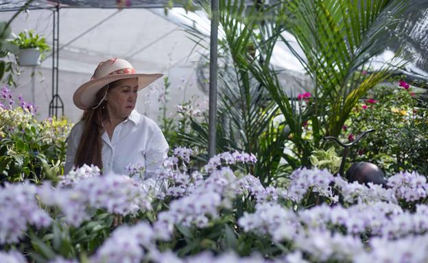Amantes de las plantas se congregan en el Jardín Botánico Nacional para el Festival 2025
