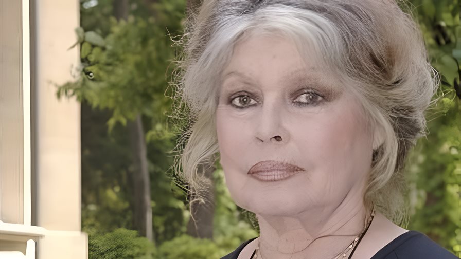 Brigitte Bardot está hospitalizada por una enfermedad grave, según la prensa francesa Brigitte Bardot está hospitalizada por una enfermedad grave, según la prensa francesa