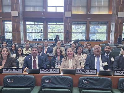 Gloria Reyes destaca impacto de proyecto "Casas sombra"