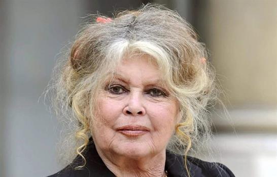  La actriz Brigitte Bardot sale del hospital y regresa a su casa de la Costa Azul francesa