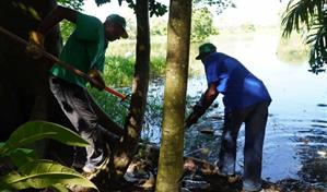 Entidades recuperan área verde en acceso a la Laguna La Redonda en la carretera Mella