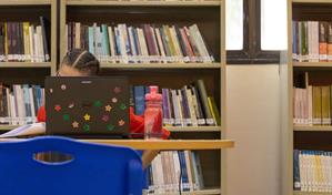 El ocaso de las bibliotecas escolares en la era digital