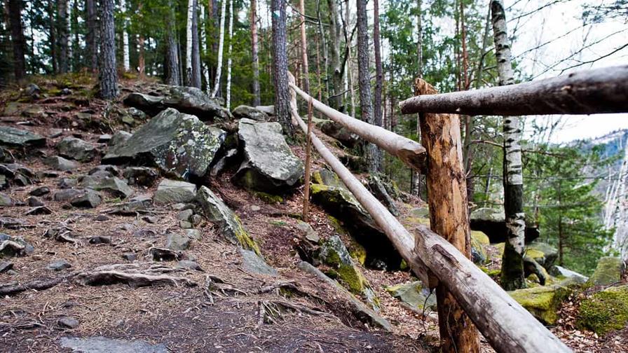 La deforestación se desacelera en el mundo pero sigue siendo demasiado rápida, advierte la FAO La deforestación se desacelera en el mundo pero sigue siendo demasiado rápida, advierte la FAO