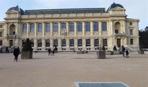 Prisión preventiva para una mujer china por robo de oro en un museo de París