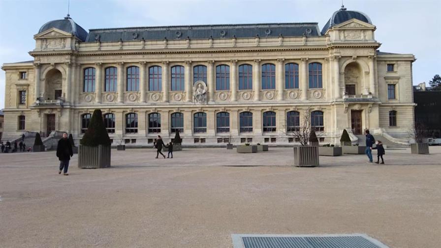 Prisión preventiva para una mujer china por robo de oro en un museo de París