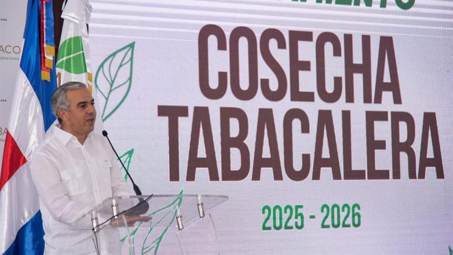 Inician la zafra tabacalera 2025-2026 en Santiago