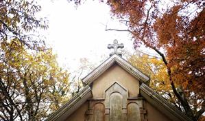 Católicos y anglicanos, próximos pero separados desde hace cinco siglos