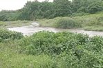 Agricultor haitiano desaparece tras ser arrastrado por el río Yaque del Norte en Santiago Agricultor haitiano desaparece tras ser arrastrado por el río Yaque del Norte en Santiago