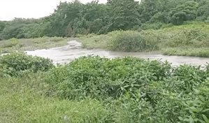 Agricultor haitiano desaparece tras ser arrastrado por el río Yaque del Norte en Santiago