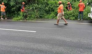 La Defensa Civil poda árboles en San Pedro de Macorís por tormenta Melissa
