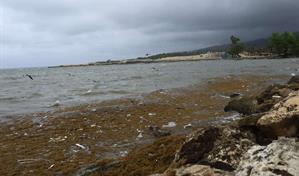 El Centro Nacional de Huracanes advierte sobre lluvias y oleaje por tormenta Melissa