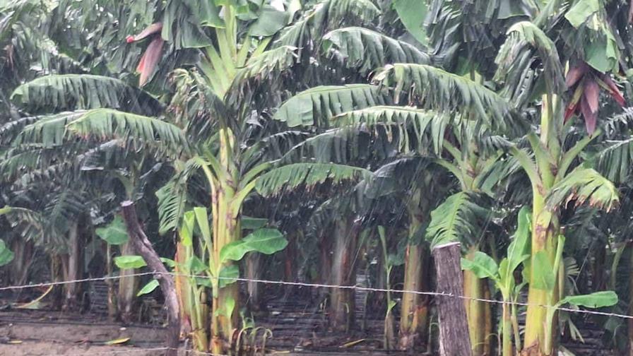 Un informe preliminar agropecuario indica pocos daños en el sur por la tormenta Melissa