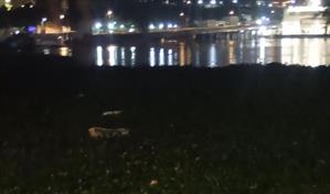 Un "mar" de lilas en el río Ozama obliga a Obras Públicas a cerrar el puente Flotante