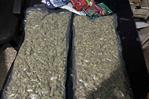Droga ocupada a “Masha” y otra persona es marihuana sintética de alto valor en el mercado Droga ocupada a “Masha” y otra persona es marihuana sintética de alto valor en el mercado