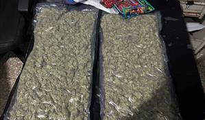 Droga ocupada a "Masha" y otra persona es marihuana sintética de alto valor en el mercado