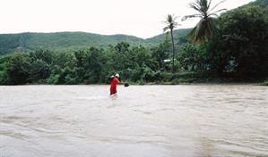 Pan, café y leche, entre los alimentos más comprados en colmados durante los efectos de Melissa