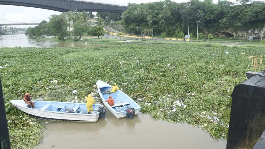 Vuelven a cerrar el puente Flotante por acumulación de lilas Vuelven a cerrar el puente Flotante por acumulación de lilas