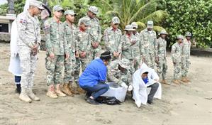 Liberan 98 crías de tortugas marinas verdes en el Santuario de Sans Soucí