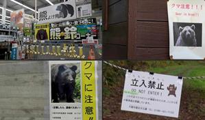 Gobernador japonés pide ayuda militar ante ataques de osos