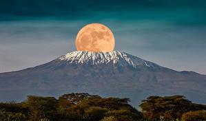 El 75 % de especies vegetales del Kilimanjaro ha desaparecido por cambio del uso del suelo