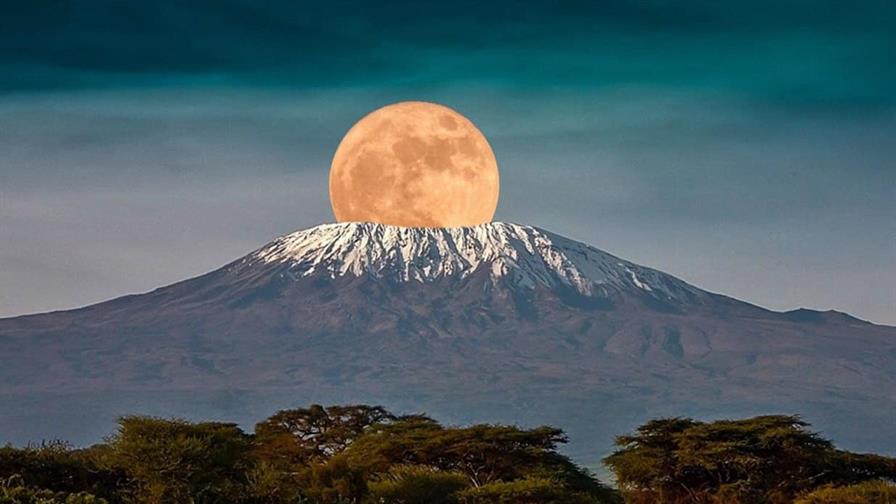 El 75 % de especies vegetales del Kilimanjaro ha desaparecido por cambio del uso del suelo El 75 % de especies vegetales del Kilimanjaro ha desaparecido por cambio del uso del suelo