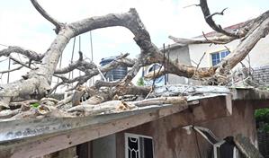 El huracán Melissa golpea el centro turístico de Jamaica, hogar del 80 % de los dominicanos