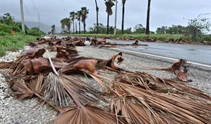 Autoridades declaran a Jamaica zona catastrófica tras el paso del huracán Melissa