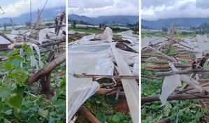 Fuertes vientos provocan daños en viviendas y un invernadero en Constanza