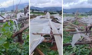 Fuertes vientos provocan daños en viviendas y un invernadero en Constanza