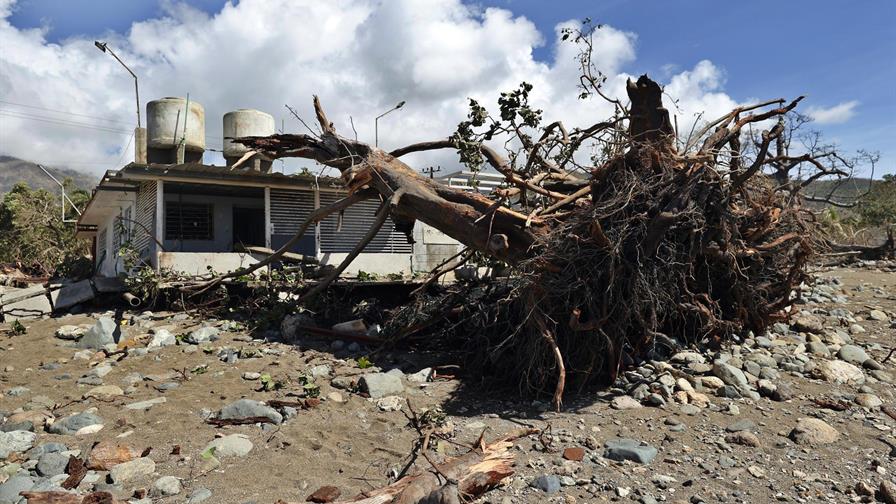 Subir al monte o esconderse en una cueva: sobrevivir a Melissa en la zona cero de Cuba Subir al monte o esconderse en una cueva: sobrevivir a Melissa en la zona cero de Cuba